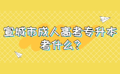 宣城市成人高考专升本考什么