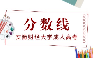 安徽财经大学成考分数线