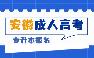 安徽成考专升本报考院校