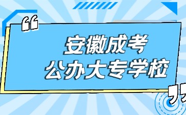 安徽成考公办大专学校