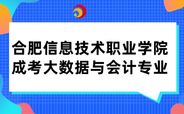 合肥信息技术职业学院成考大数据与会计专业