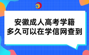 安徽成人高考多久可以在学信网查到